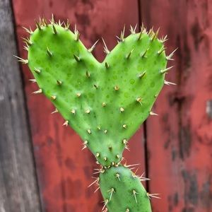 Meet your Posher, Helen